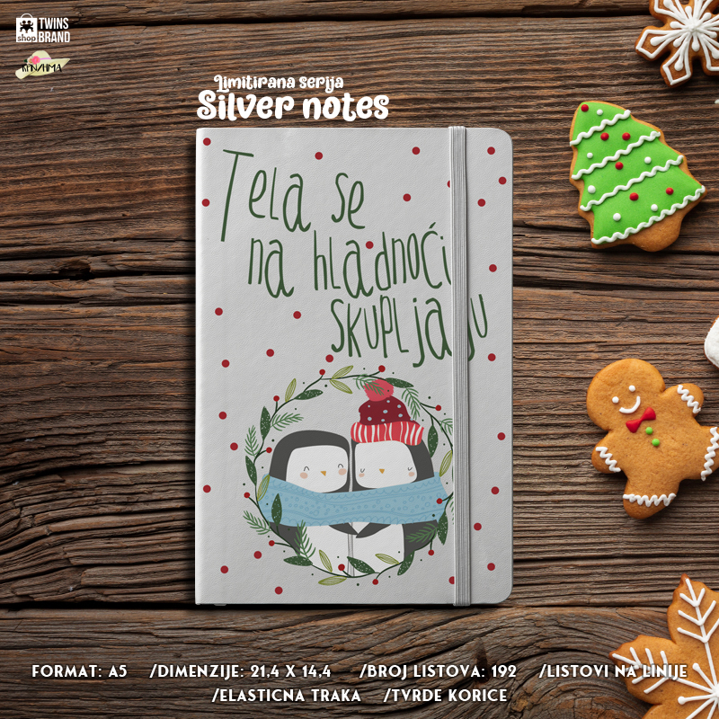 Silver notes – Tela na hladnoci JPEG