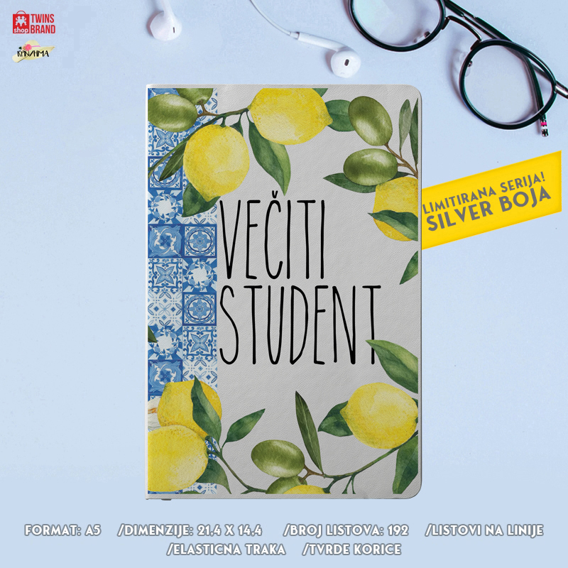 Silver notes – Veciti student JPEG Silver notes – Veciti student JPEG